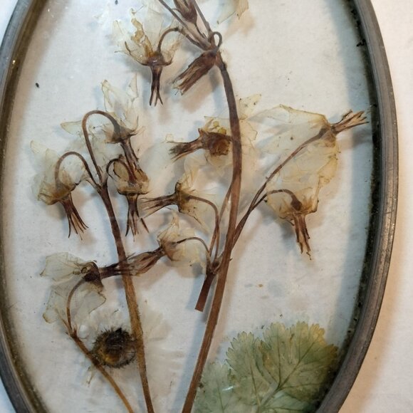 Vintage Pressed Flower Botanical Oval Glass Frame USA - Picture 3 of 4